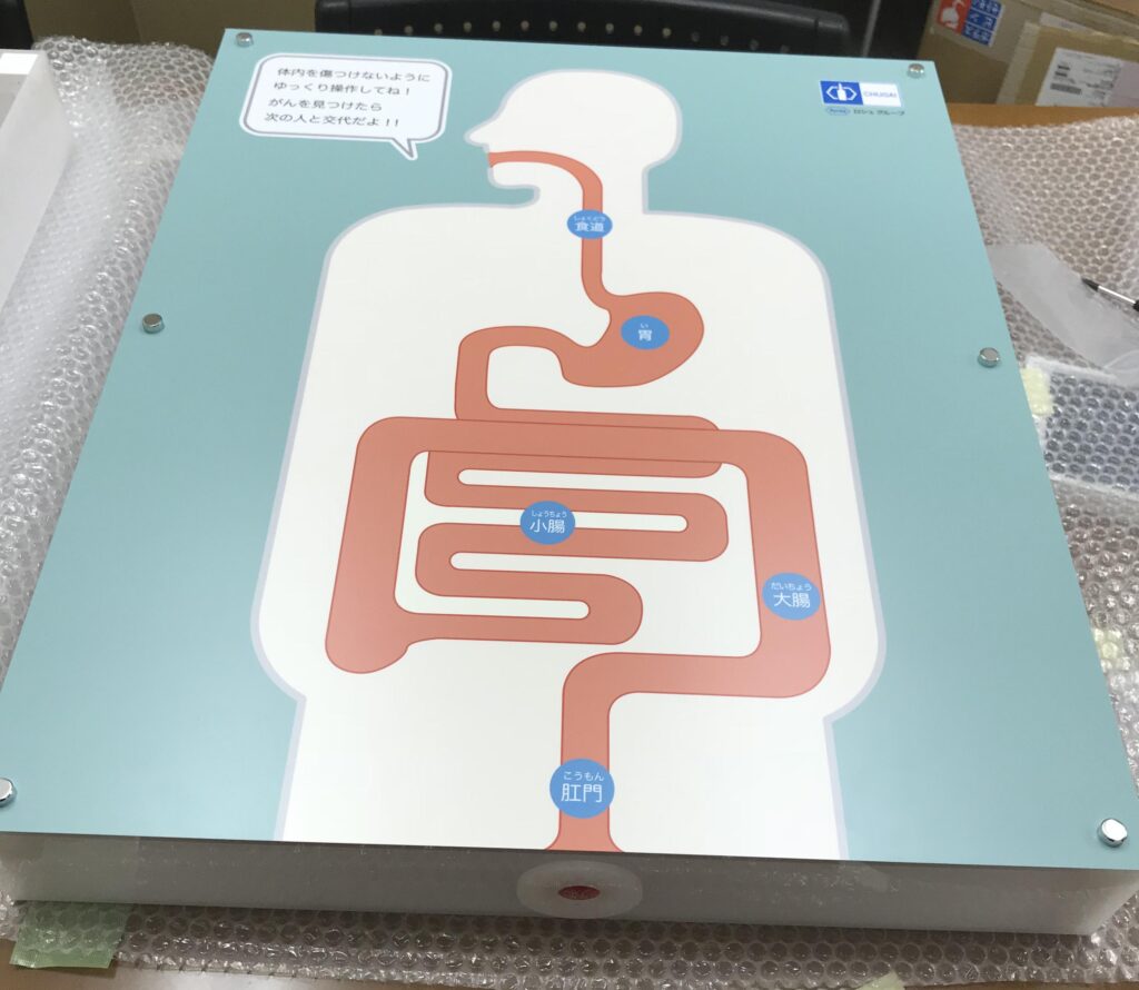 人体模型 内視鏡PR模型